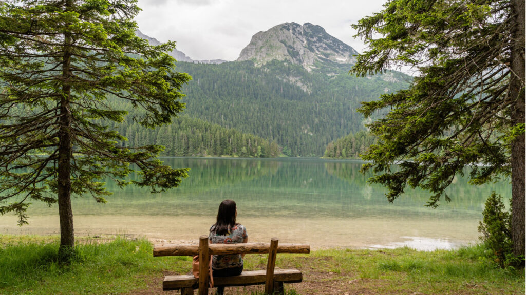 quit social media results personal digital detox story