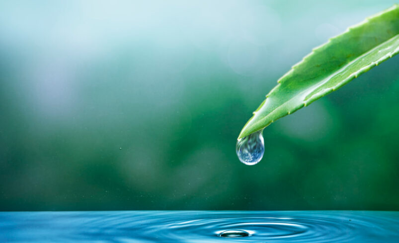 drink 3 liters of water daily