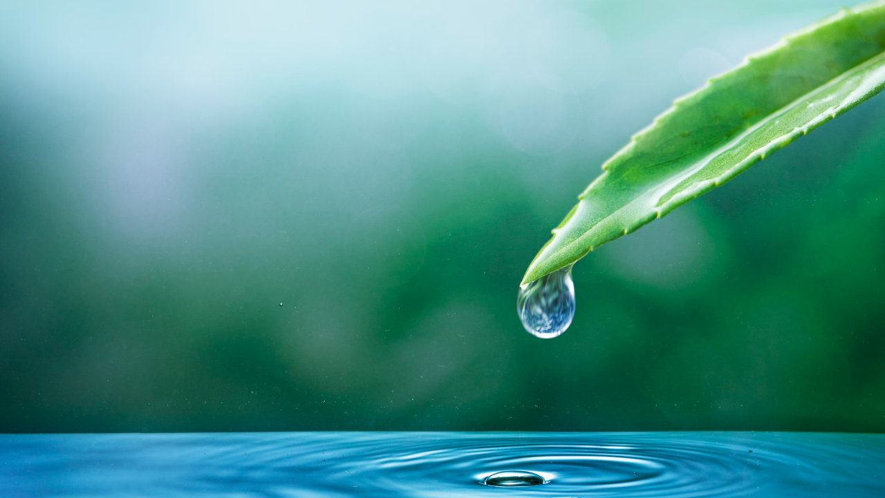 What Happens When You Drink 3 Liters of Water Daily?